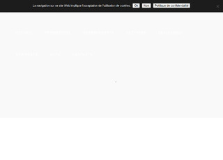 Capture du site LES REPAIRES